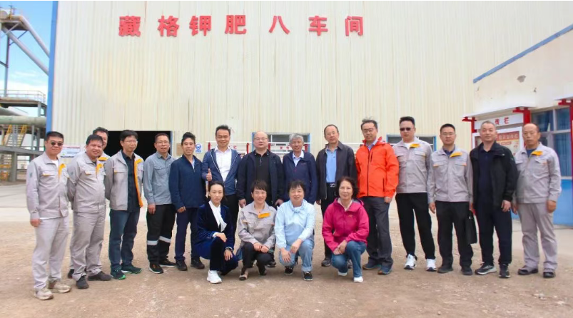 紫金矿业与藏格矿业独立董事开展联合调研